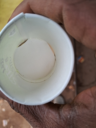 APPLE iPhone 12 52 vvs